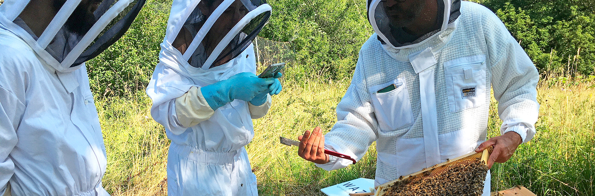 Stéphane récolte le miel de la ruche Wazacom